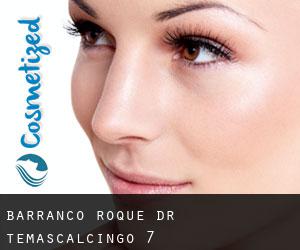 Barranco Roque Dr (Temascalcingo) #7