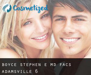 Boyce Stephen E MD Facs (Adamsville) #6