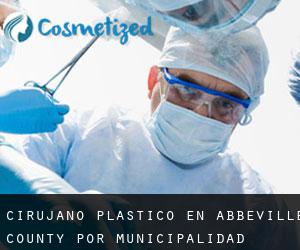 Cirujano Plástico en Abbeville County por municipalidad - página 1