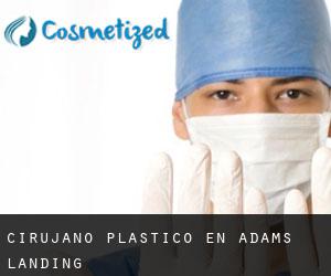 Cirujano Plástico en Adams Landing