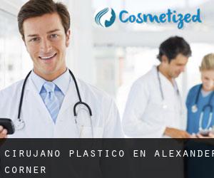 Cirujano Plástico en Alexander Corner