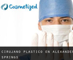 Cirujano Plástico en Alexander Springs