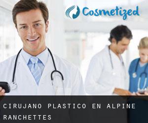 Cirujano Plástico en Alpine Ranchettes