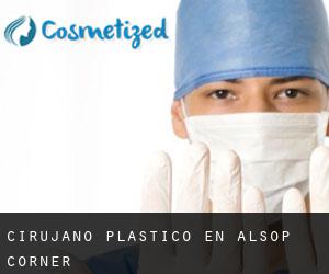 Cirujano Plástico en Alsop Corner