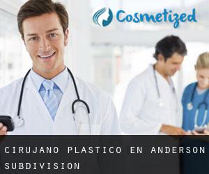 Cirujano Plástico en Anderson Subdivision