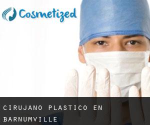 Cirujano Plástico en Barnumville