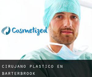 Cirujano Plástico en Barterbrook