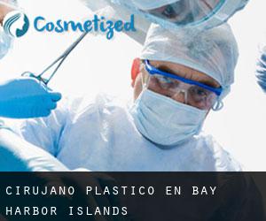 Cirujano Plástico en Bay Harbor Islands