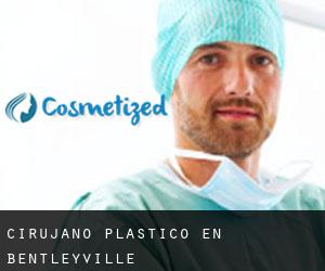Cirujano Plástico en Bentleyville