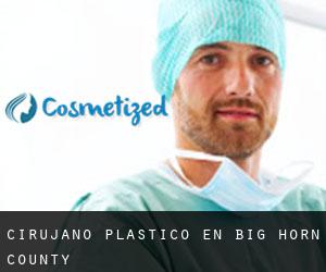 Cirujano Plástico en Big Horn County