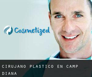 Cirujano Plástico en Camp Diana