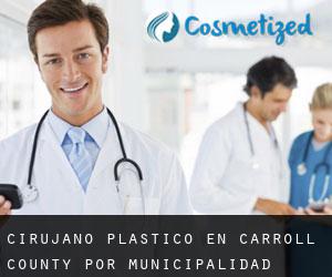 Cirujano Plástico en Carroll County por municipalidad - página 1