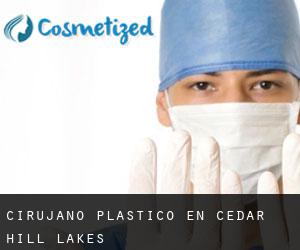 Cirujano Plástico en Cedar Hill Lakes