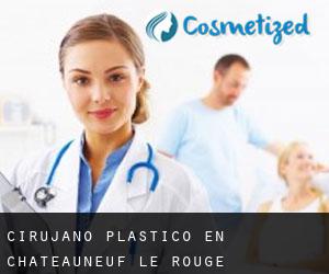 Cirujano Plástico en Châteauneuf-le-Rouge