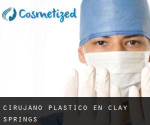 Cirujano Plástico en Clay Springs