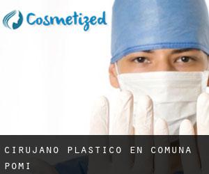 Cirujano Plástico en Comuna Pomi
