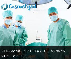 Cirujano Plástico en Comuna Vadu Crişului