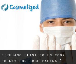 Cirujano Plástico en Cook County por urbe - página 1