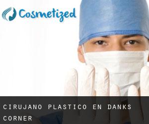 Cirujano Plástico en Danks Corner