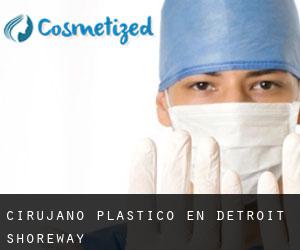 Cirujano Plástico en Detroit-Shoreway