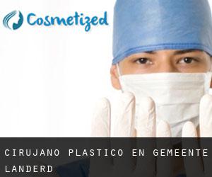 Cirujano Plástico en Gemeente Landerd