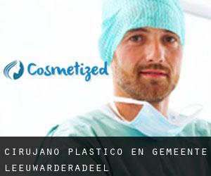 Cirujano Plástico en Gemeente Leeuwarderadeel
