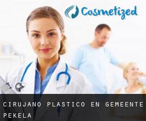 Cirujano Plástico en Gemeente Pekela