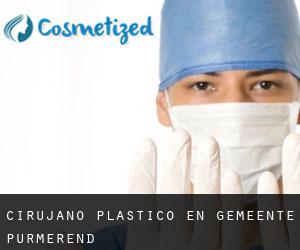 Cirujano Plástico en Gemeente Purmerend