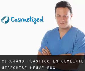 Cirujano Plástico en Gemeente Utrechtse Heuvelrug