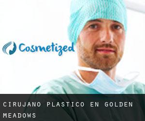 Cirujano Plástico en Golden Meadows