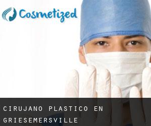 Cirujano Plástico en Griesemersville