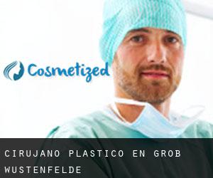 Cirujano Plástico en Groß Wüstenfelde
