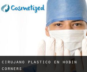 Cirujano Plástico en Hobin Corners