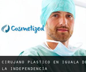 Cirujano Plástico en Iguala de la Independencia