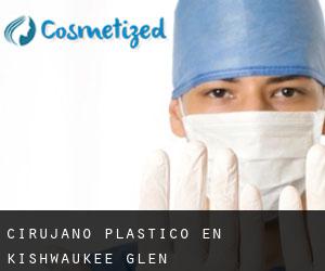 Cirujano Plástico en Kishwaukee Glen