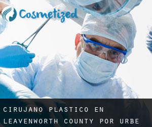 Cirujano Plástico en Leavenworth County por urbe - página 1