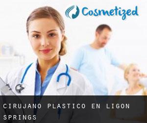 Cirujano Plástico en Ligon Springs