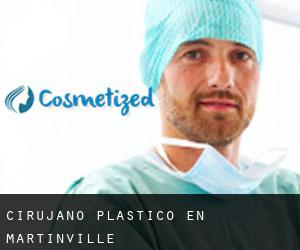 Cirujano Plástico en Martinville