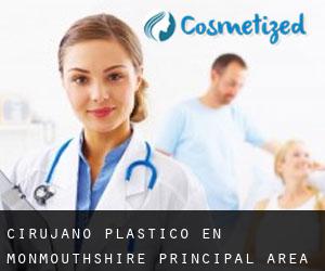 Cirujano Plástico en Monmouthshire principal area