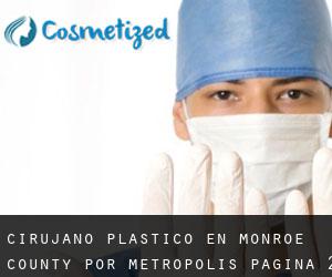 Cirujano Plástico en Monroe County por metropolis - página 2