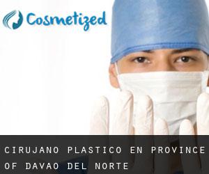 Cirujano Plástico en Province of Davao del Norte