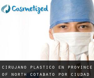 Cirujano Plástico en Province of North Cotabato por ciudad importante - página 2