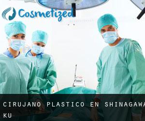 Cirujano Plástico en Shinagawa-ku