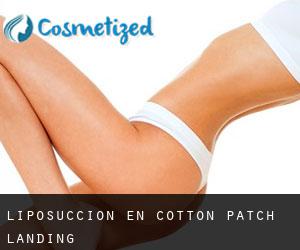 Liposucción en Cotton Patch Landing