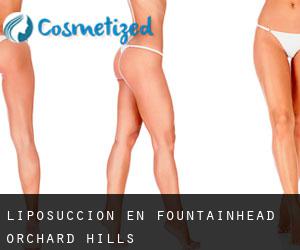 Liposucción en Fountainhead-Orchard Hills