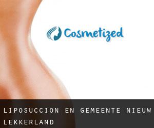 Liposucción en Gemeente Nieuw-Lekkerland