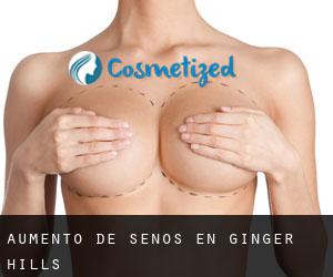 Aumento de Senos en Ginger Hills