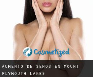 Aumento de Senos en Mount Plymouth Lakes