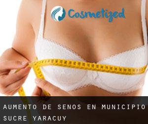 Aumento de Senos en Municipio Sucre (Yaracuy)