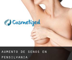 Aumento de Senos en Pensilvania Aumento de Senos en Pensilvania